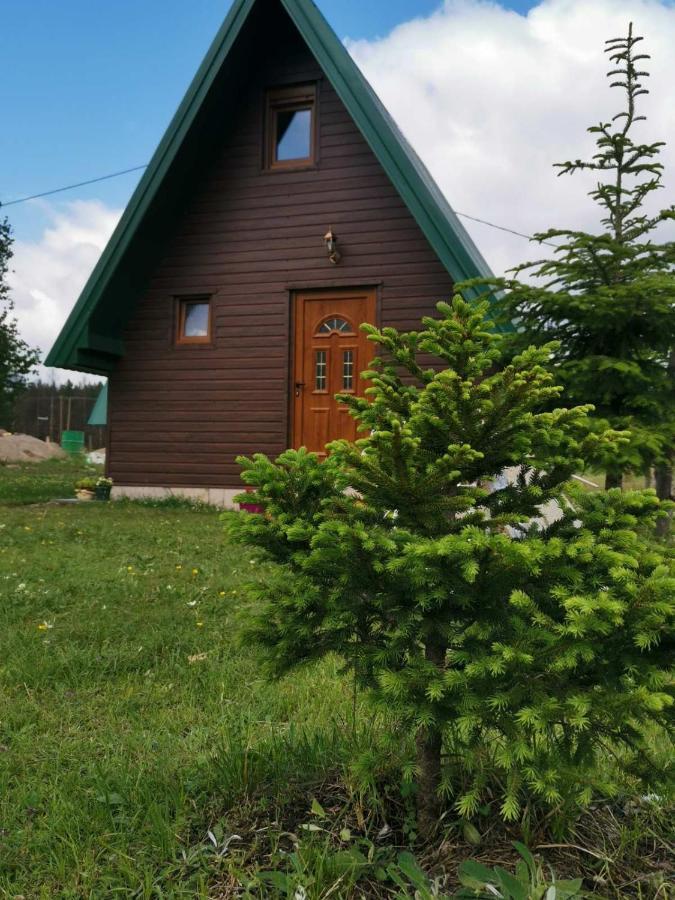 Etno Koliba Nikoleta Villa Zabljak  Ngoại thất bức ảnh